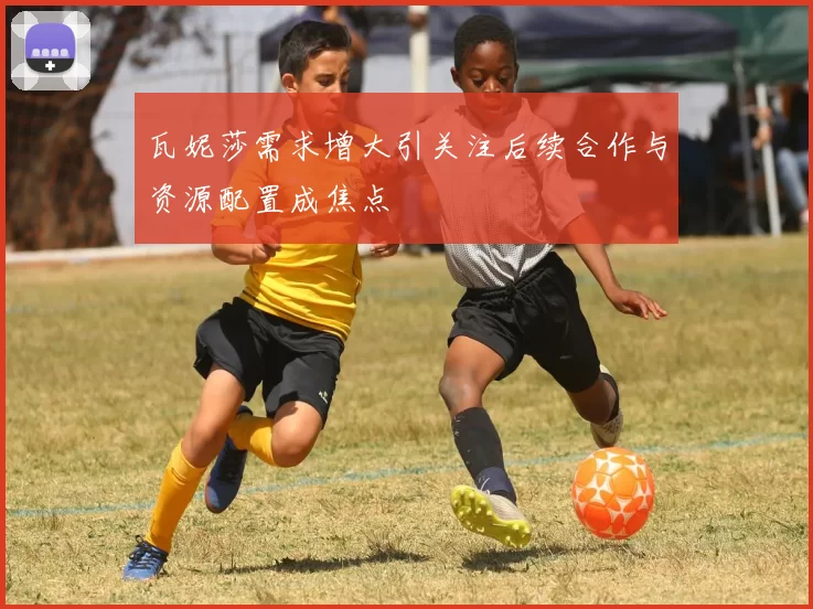瓦妮莎需求增大引关注后续合作与资源配置成焦点