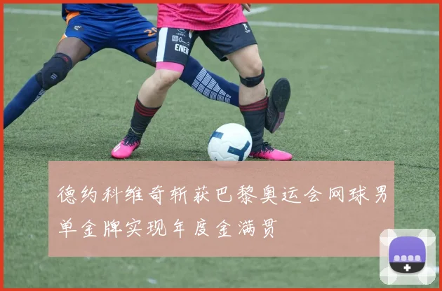 德约科维奇斩获巴黎奥运会网球男单金牌实现年度金满贯