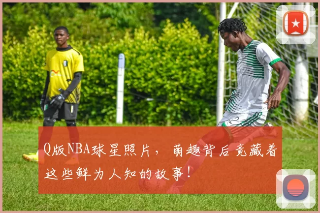 Q版NBA球星照片，萌趣背后竟藏着这些鲜为人知的故事！