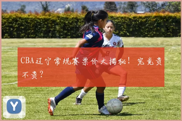 CBA辽宁常规赛票价大揭秘！究竟贵不贵？