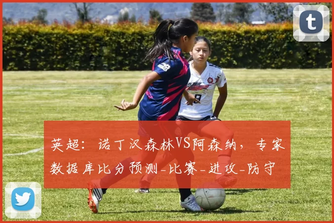 英超：诺丁汉森林VS阿森纳，专家数据库比分预测_比赛_进攻_防守