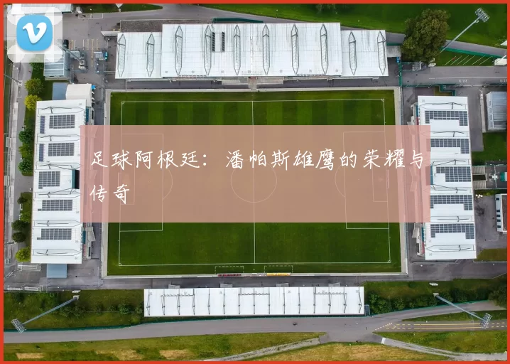 足球阿根廷：潘帕斯雄鹰的荣耀与传奇